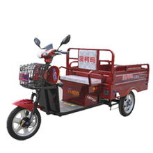 桦甸市澳柯玛电动车专卖店产品分类